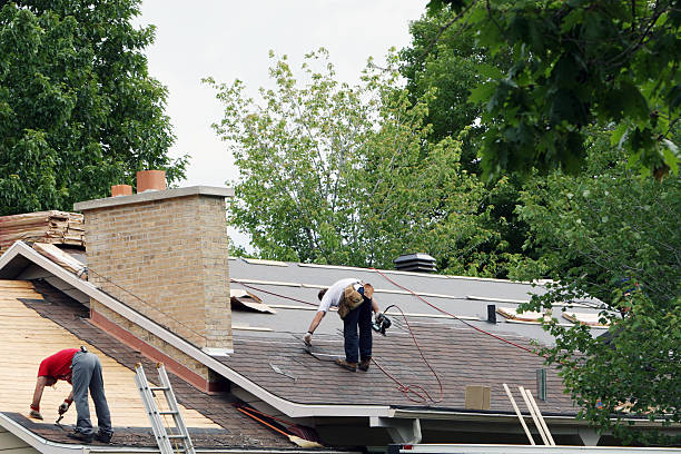 Best Roof Insulation Installation  in Morrisonvle, IL