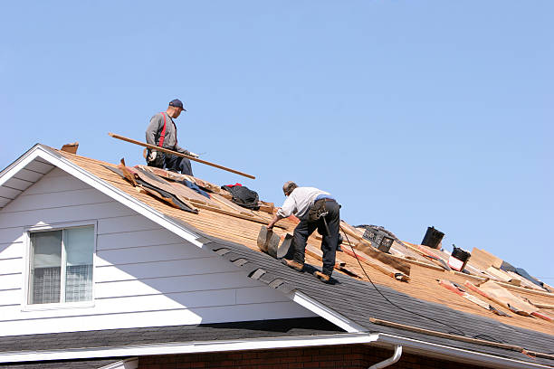 Best Asphalt Shingles Roofing  in Morrisonvle, IL